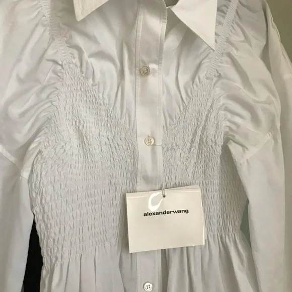 NWT Alexander Wang Long Sleeve Smocked Cami Oversize Poplin Cotton Shirt Dress S - Picture 7 of 15